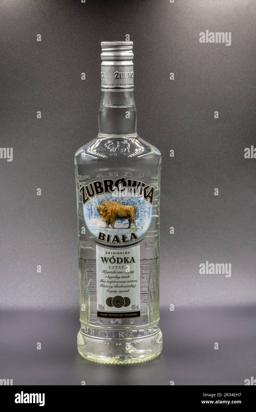 Kyiv, Ukraine - February 08, 2023: Studio shoot of Zubrowka Biala vodka bottle closeup against black. It is a flavored Polish vodka liqueur, which con Stock Photo