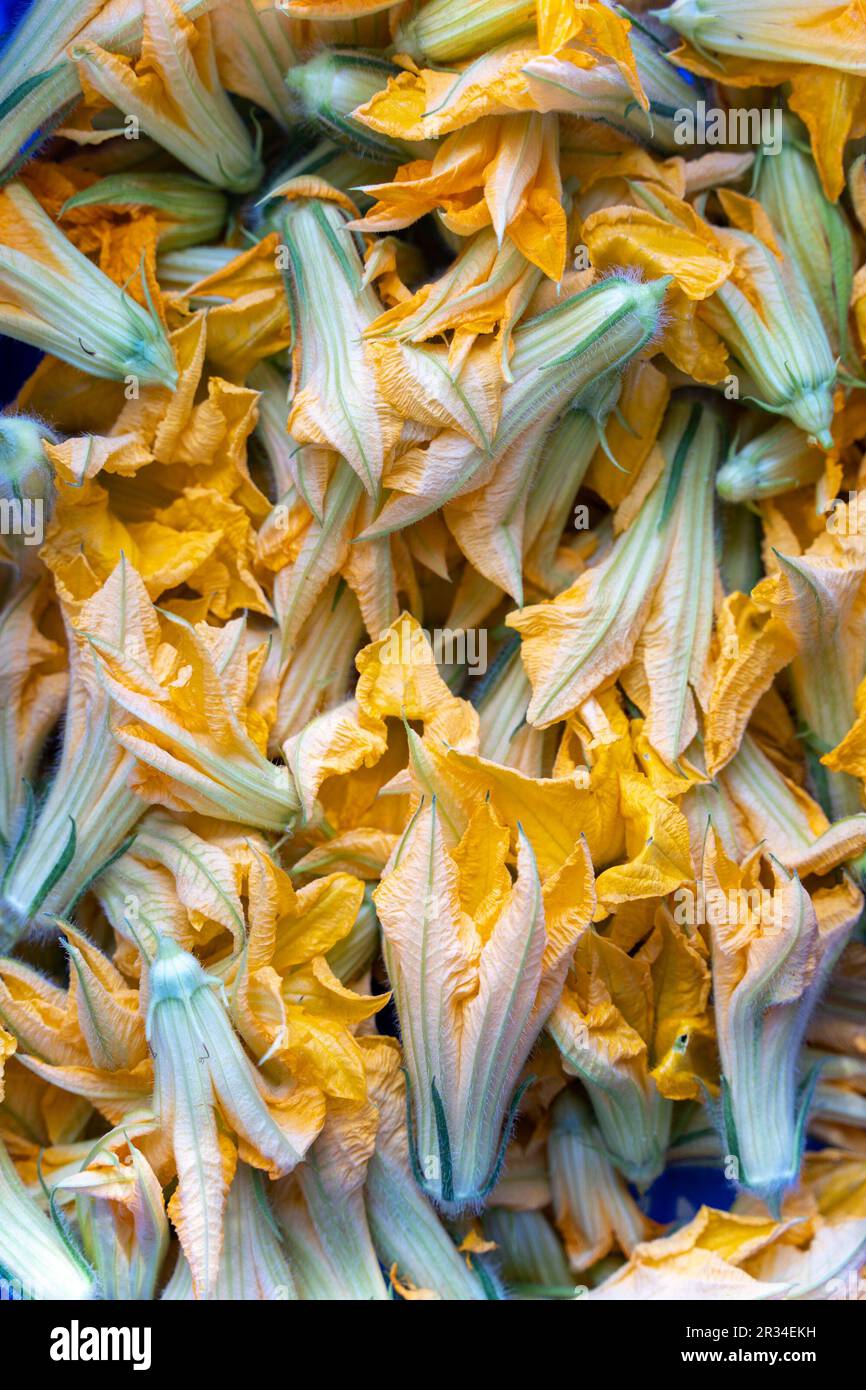 Zucchini blossoms bulk Stock Photo Alamy