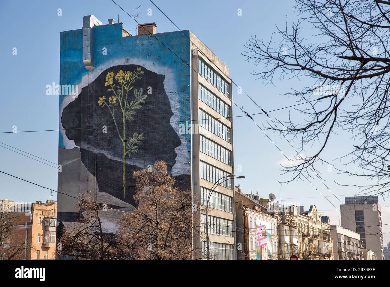 Kyiv, Ukraine - March 18, 2023: Graffiti A flower inside the silhouette of Lesya Ukrainka created in 2017 by Costa Rican street artist Mata Ruda. The Stock Photo