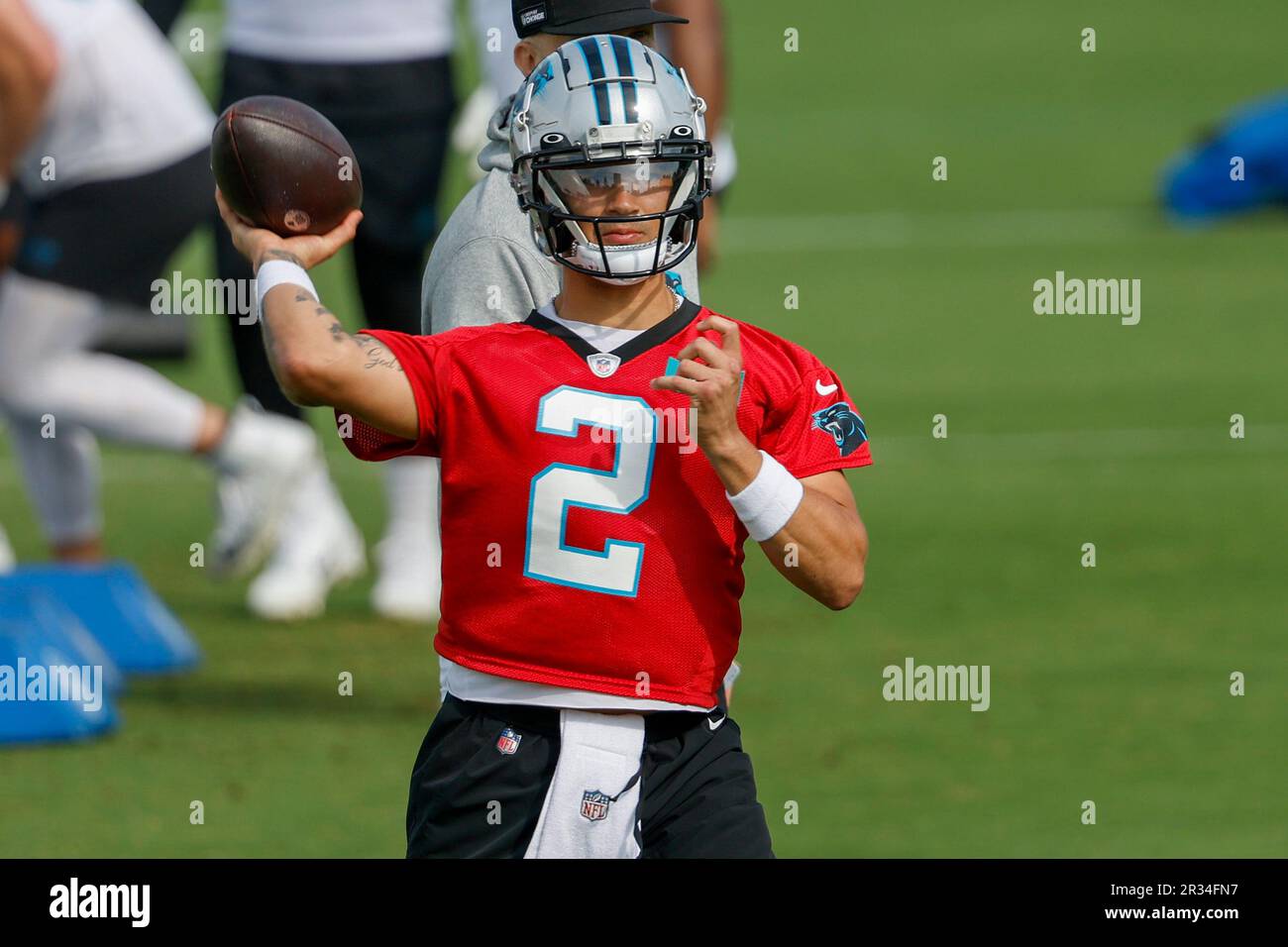 Carolina Panthers quarterback Matt Corral looks to hand off during ...