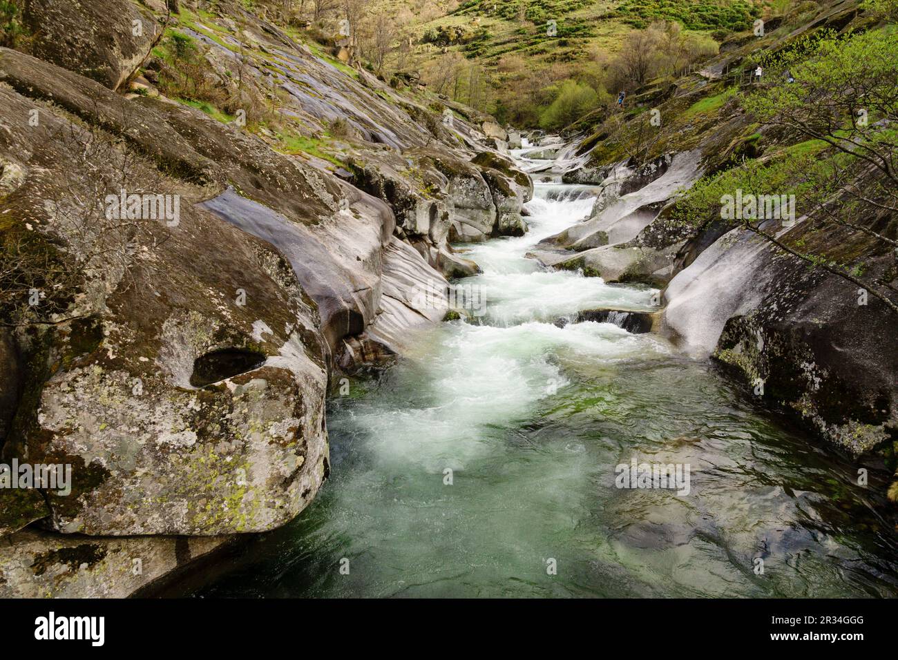 Los Pilones, reserva natural Garganta de los Infiernos, sierra de Tormantos, valle del Jerte, Cáceres, Extremadura, Spain, europa. Stock Photo