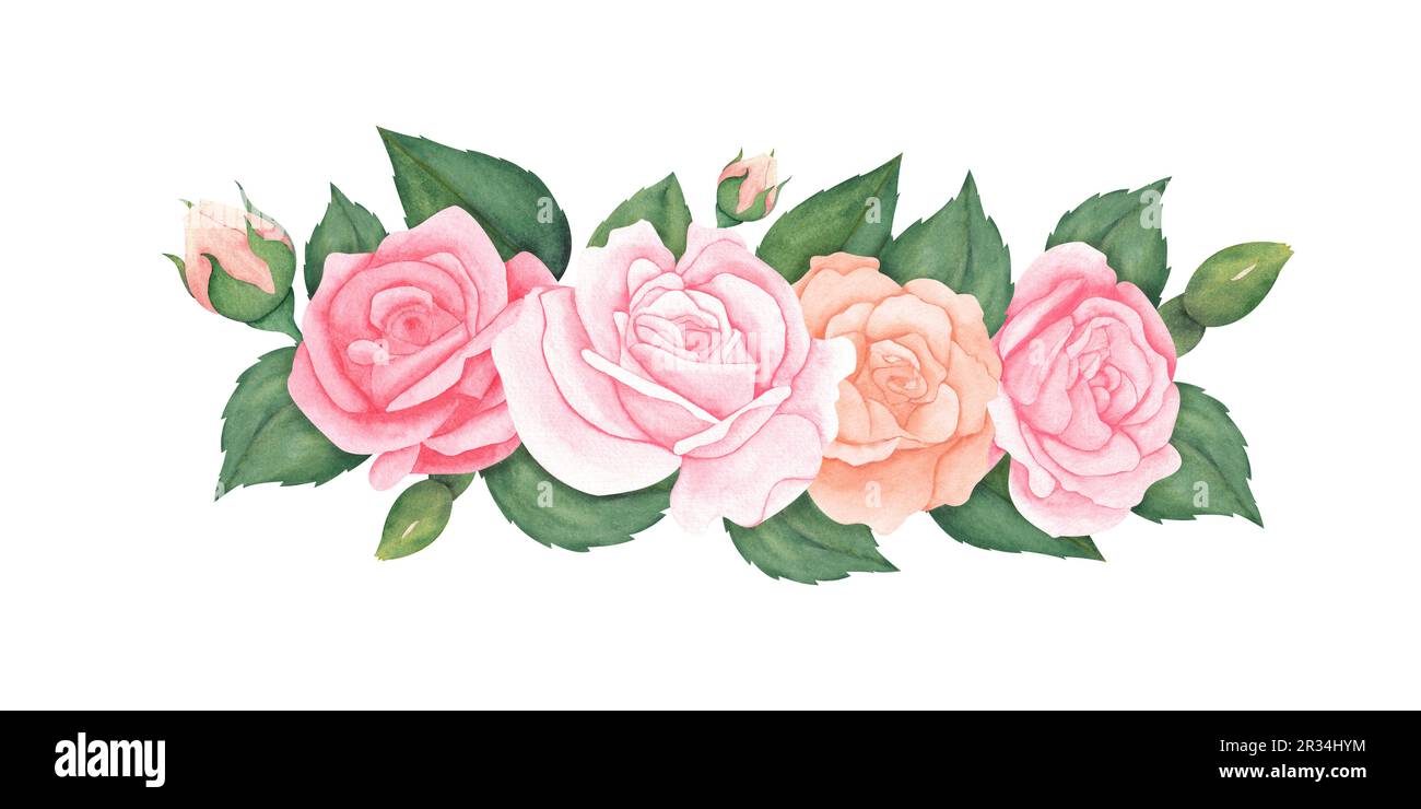 Watercolor pink peach Roses and green leaves. Hand drawn illustration ...