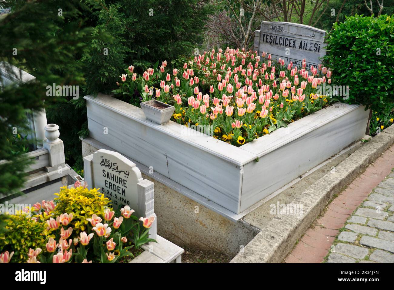 Tumbas y tulipanes. Cementerio Eyúp Sultan.Turquia. Asia. Stock Photo