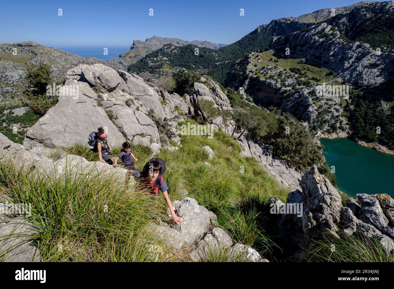 Relieve de piedra caliza hi-res stock photography and images - Alamy