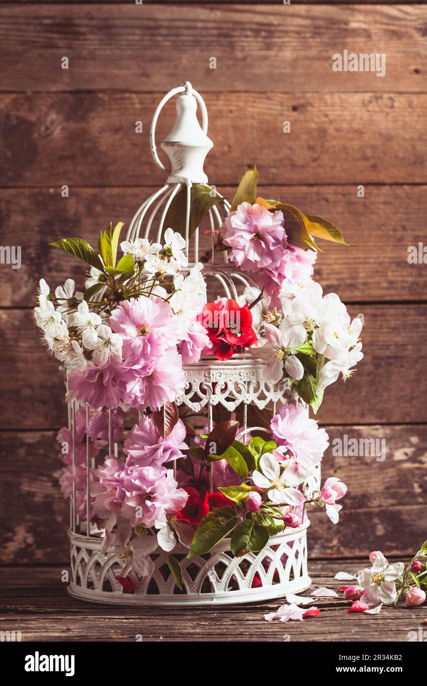 Bird cage with wooden heart Stock Photo - Alamy