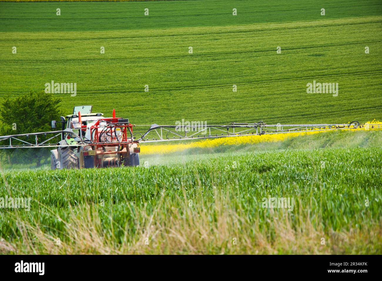 Field Getting Sprayed A field is sprayed. Fungi, weeds and pests should be destroyed Stock ...