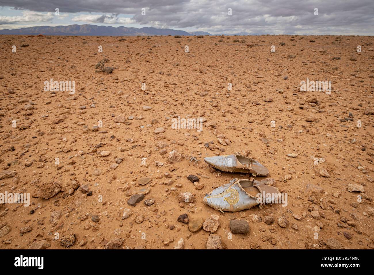 Maghreb espadrille lost in the desert, Muluya valley. Middle atlas. Morocco, Africa. Stock Photo