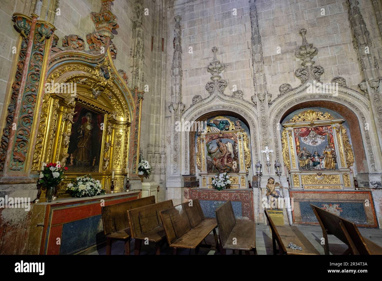 capilla de la Soledad, Catedral de la Asunción de la Virgen, Salamanca, comunidad autónoma de Castilla y León, Spain. Stock Photo