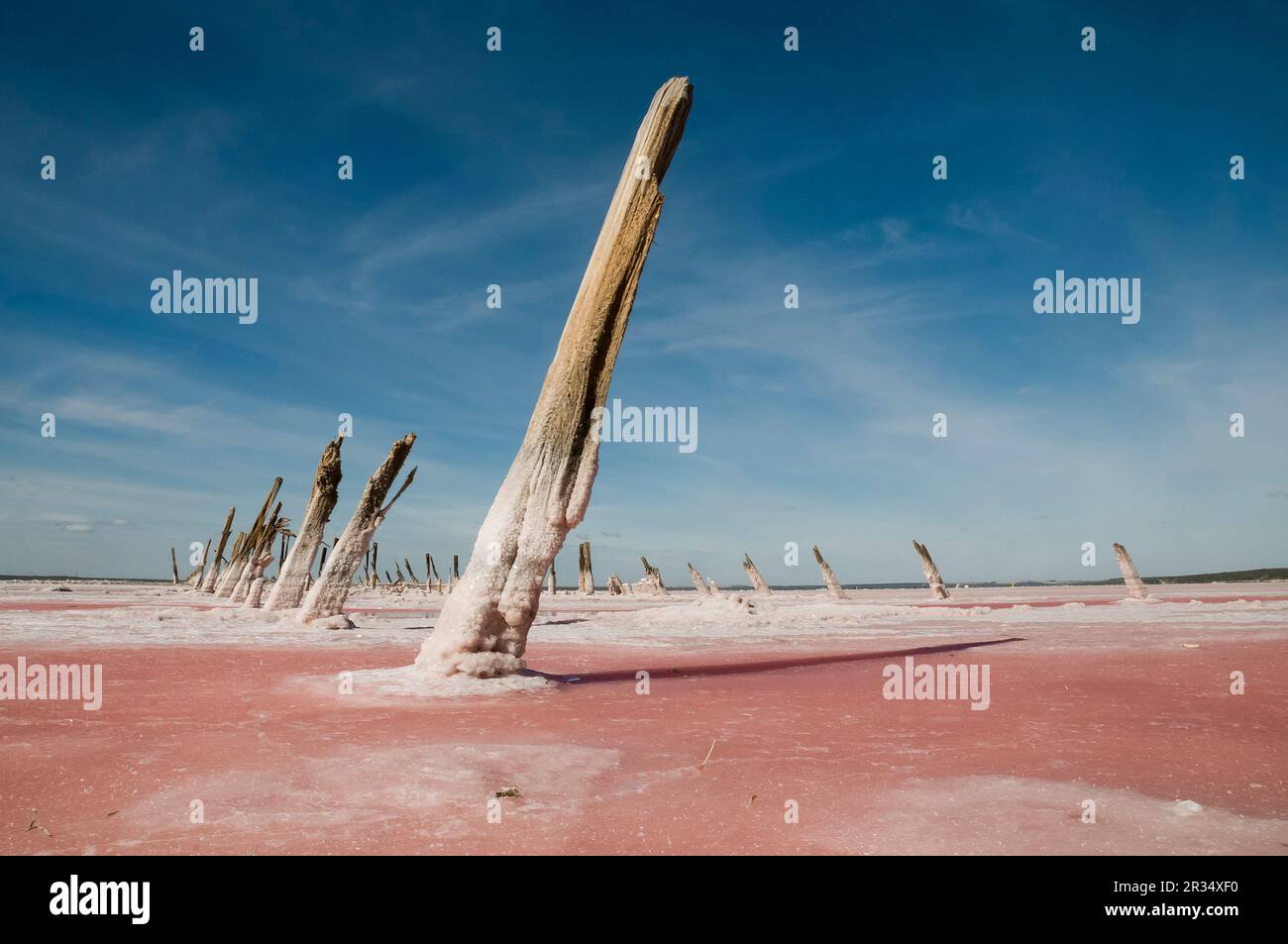 Historical remain in Pampas Saline, La Pampa Province, Patagonia, Argentina. Stock Photo