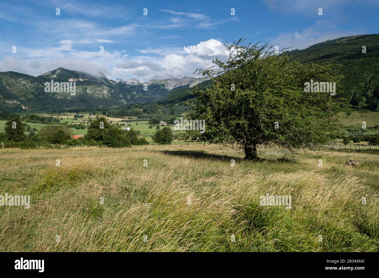 valle de Belagua, Isaba, Navarra, Spain, Europe. Stock Photo