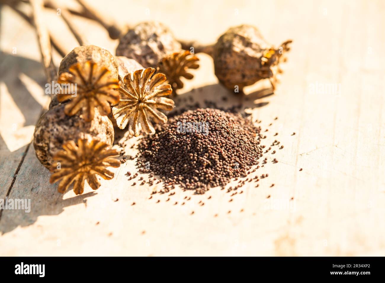 poppy seeds heap and dry flowers on the table Stock Photo