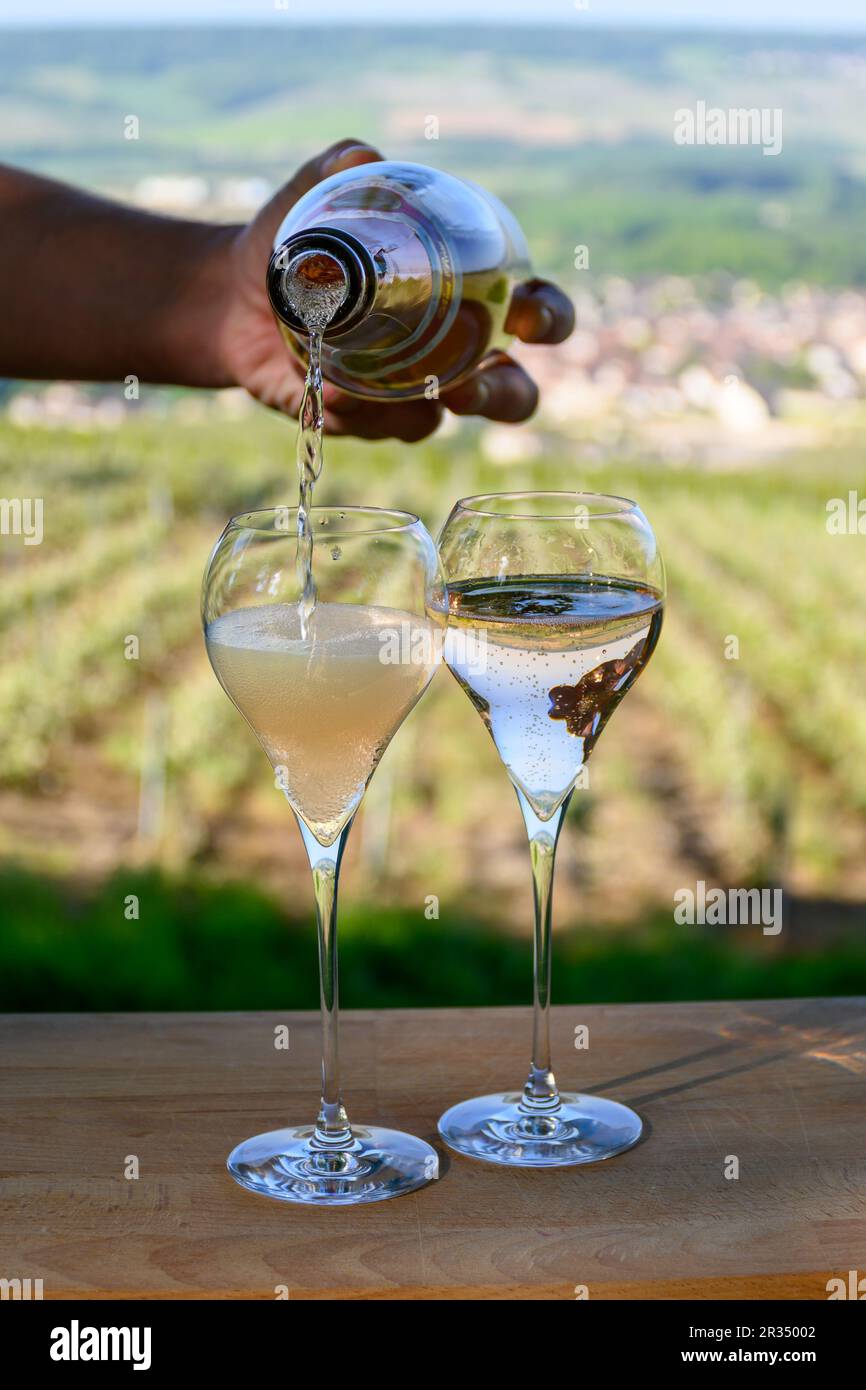 Tasting of premier cru sparkling white wine with bubbles champagne with