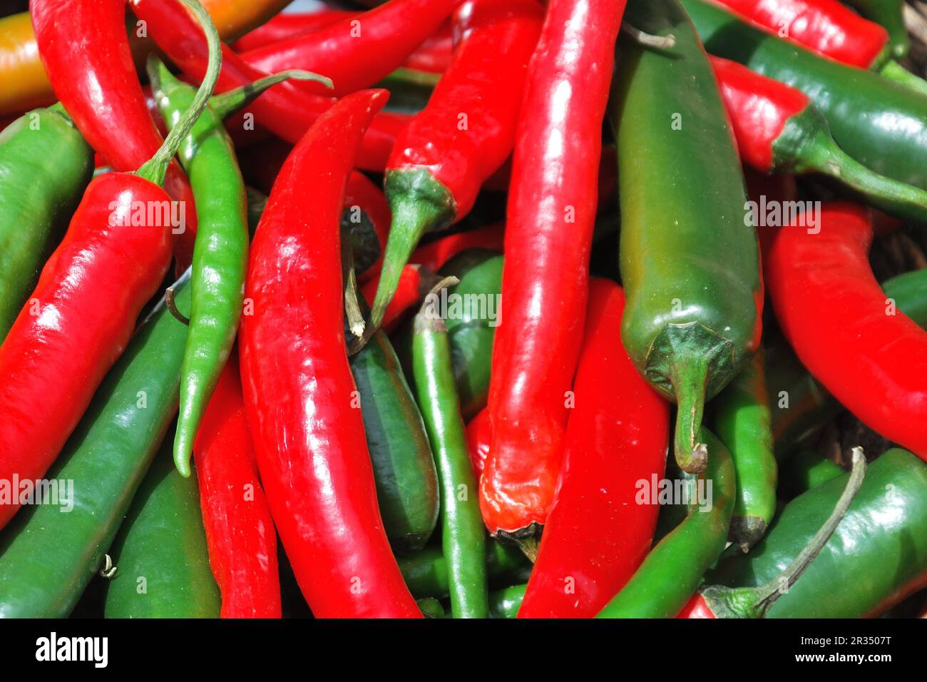 Red and Green Chilli hot  peppers Stock Photo