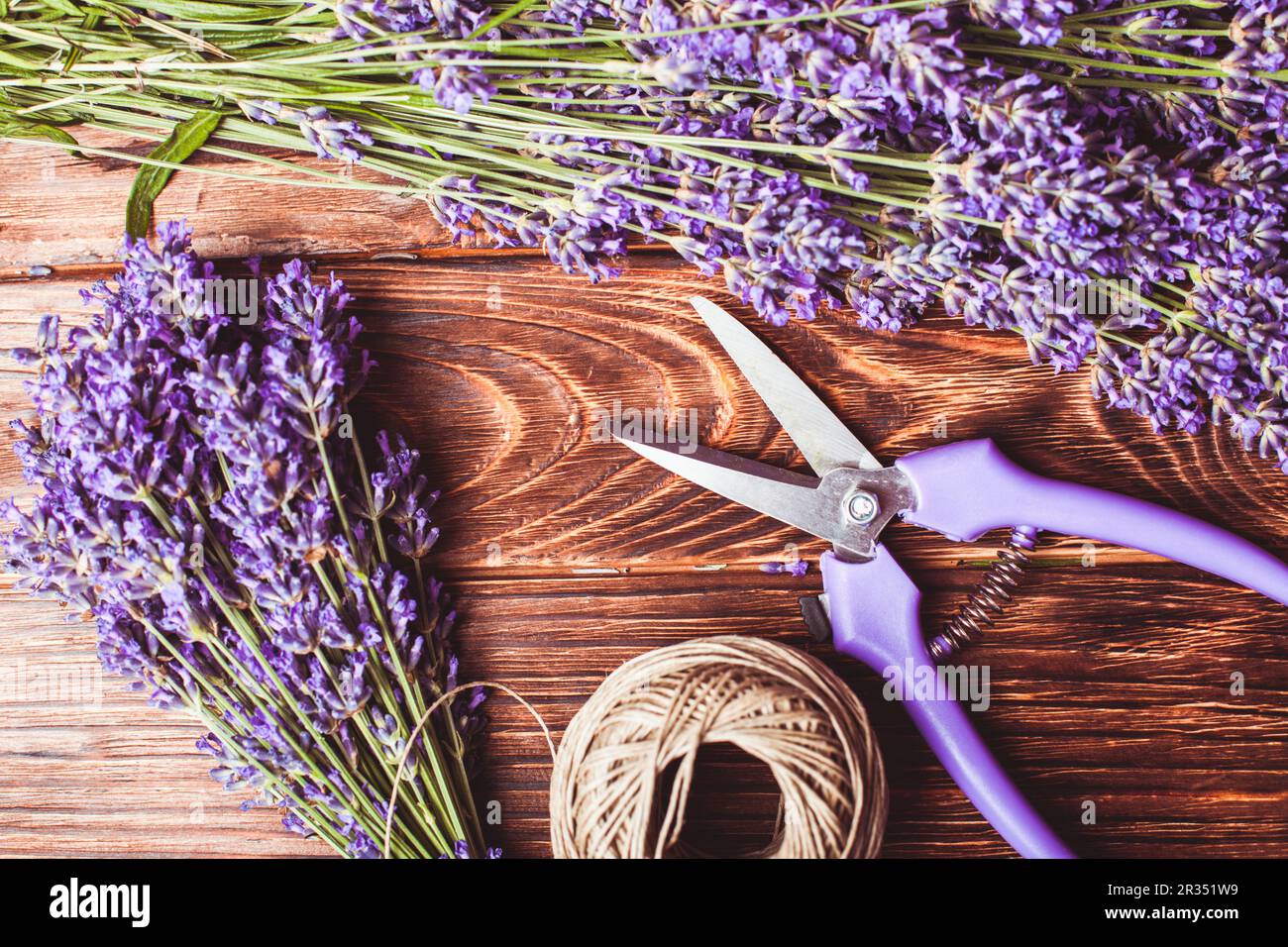 Cut Dry Lavender Flowers In A Small Wicker Basket In The Garden Next To  Blooming Lavender Bushes And Summer Hat. Stock Photo, Picture and Royalty  Free Image. Image 188853135.