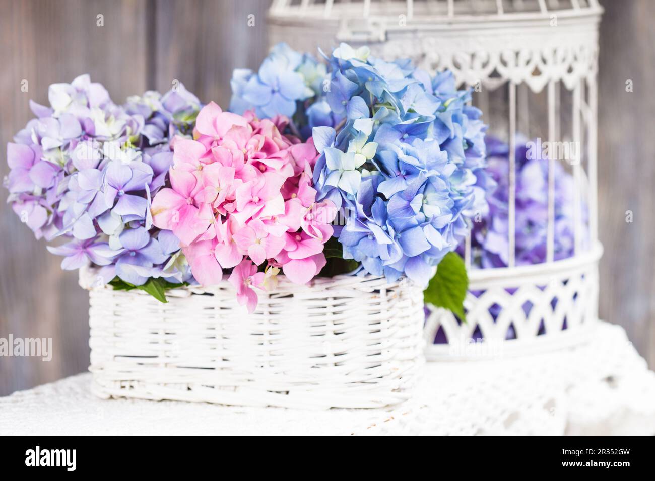 White hydrangea wedding floral hi-res stock photography and images - Alamy