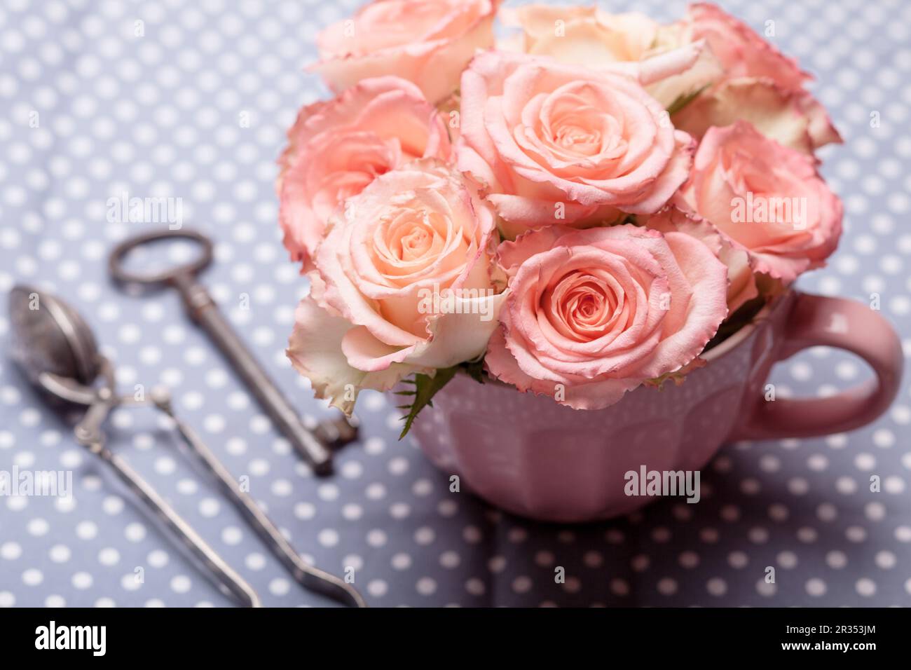 Old key and roses Stock Photo
