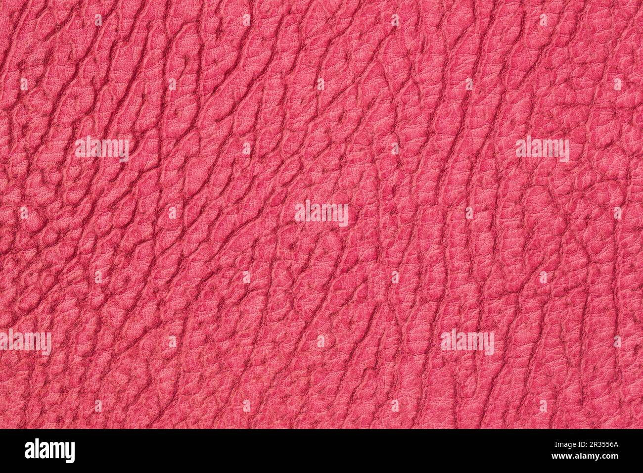 Genuine leather texture, red color, rough matte surface, trendy background. Concept of shopping, manufacturing Stock Photo