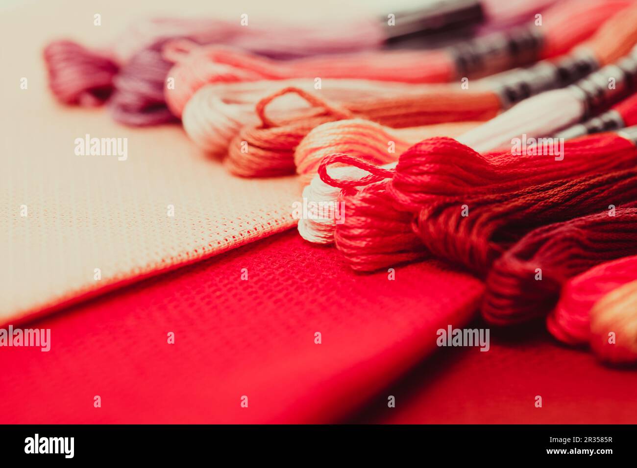 The embroidery canvas Stock Photo Alamy