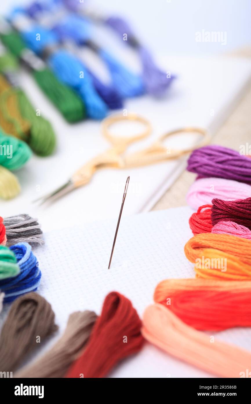 Embroidery floss and needle Stock Photo Alamy