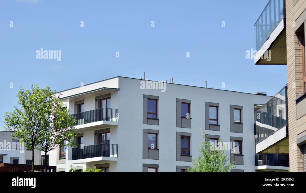 Eco architecture. Green tree and new apartment building. The harmony of