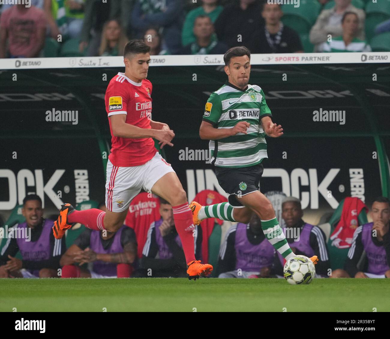 Lisbon, Portugal. 21st May, 2023. Chiquinho (Benfica) Football/Soccer :  Portugal Liga Portugal bwin match between Sporting Clube de Portugal 2-2  SL Benfica at the Estadio Jose Alvalade in Lisbon, Portugal . Credit