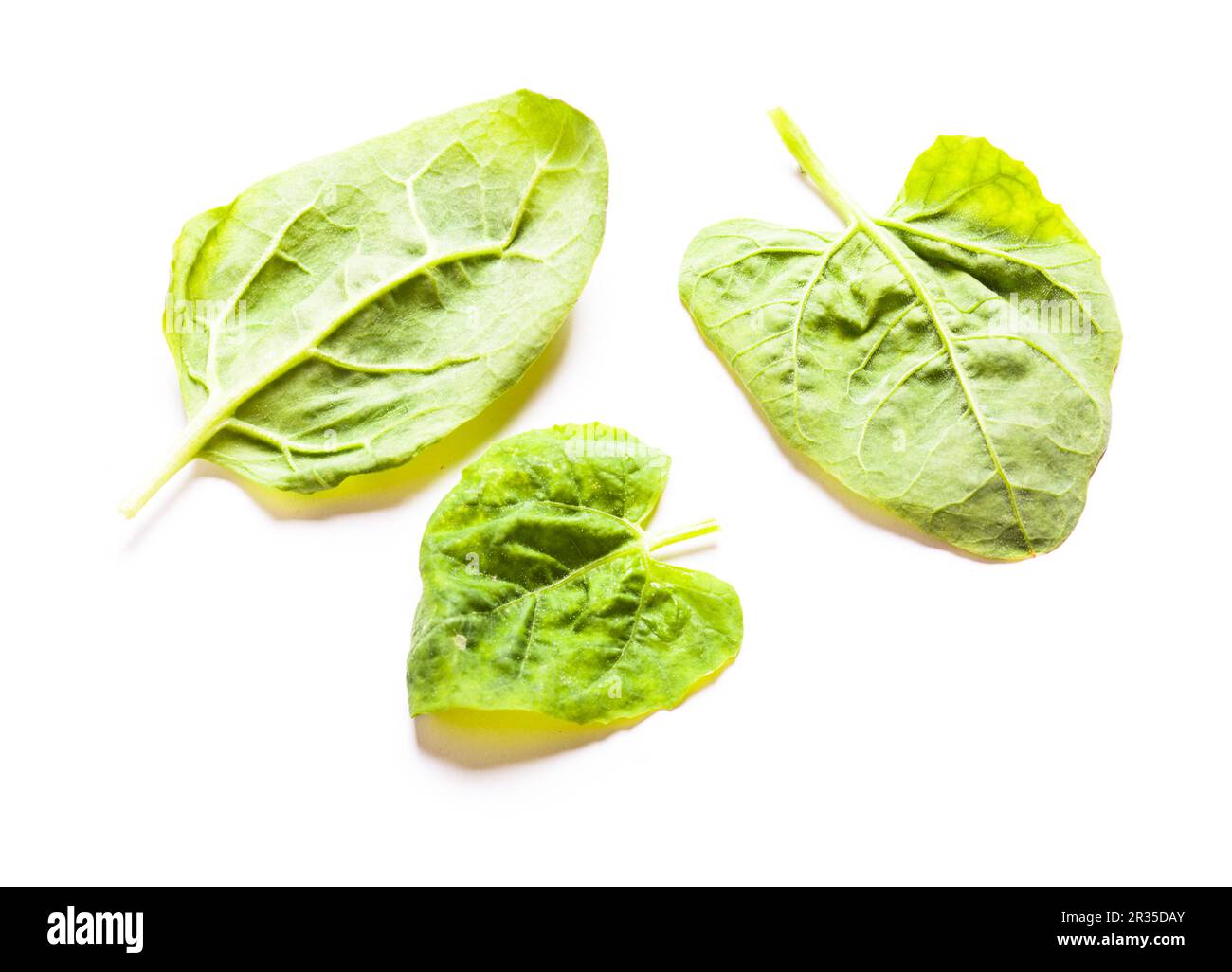 Spinach leaves isolated Stock Photo - Alamy