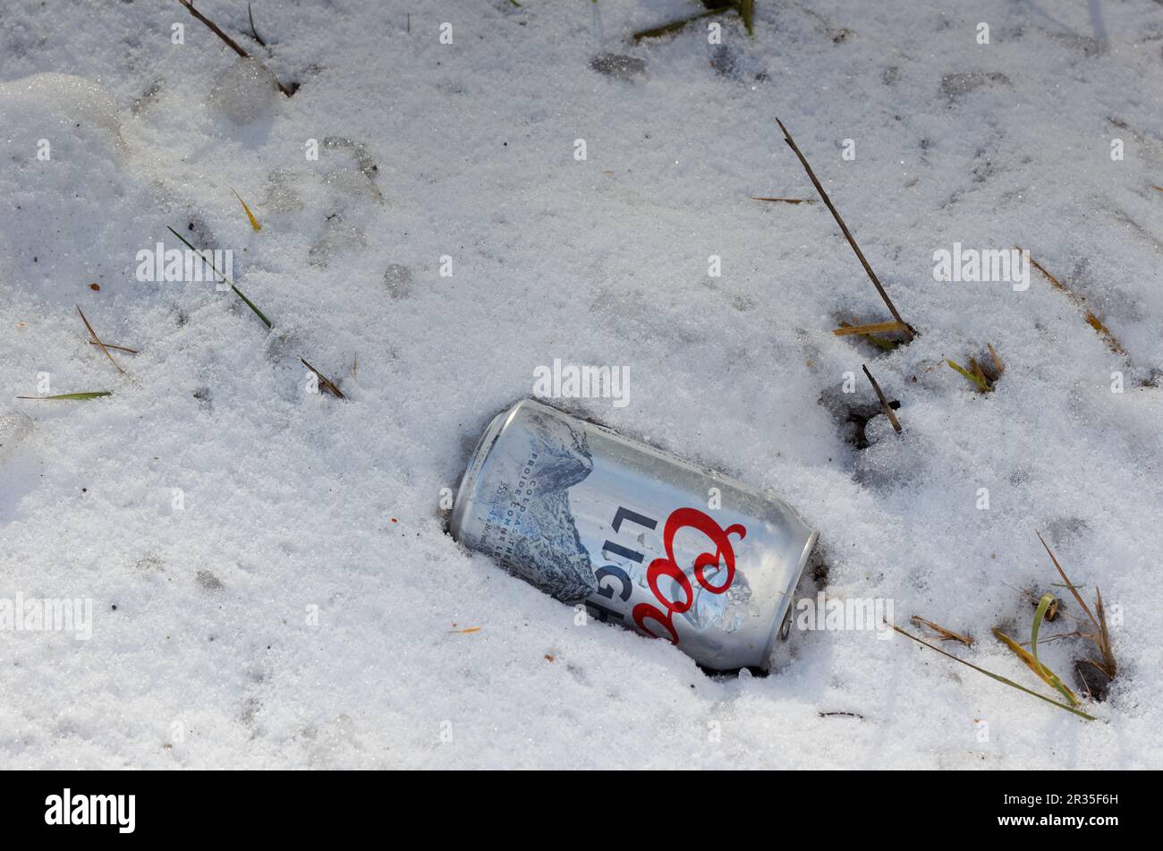 Empty can of Coors light beer laying on the ground. Quebec,Canada Stock
