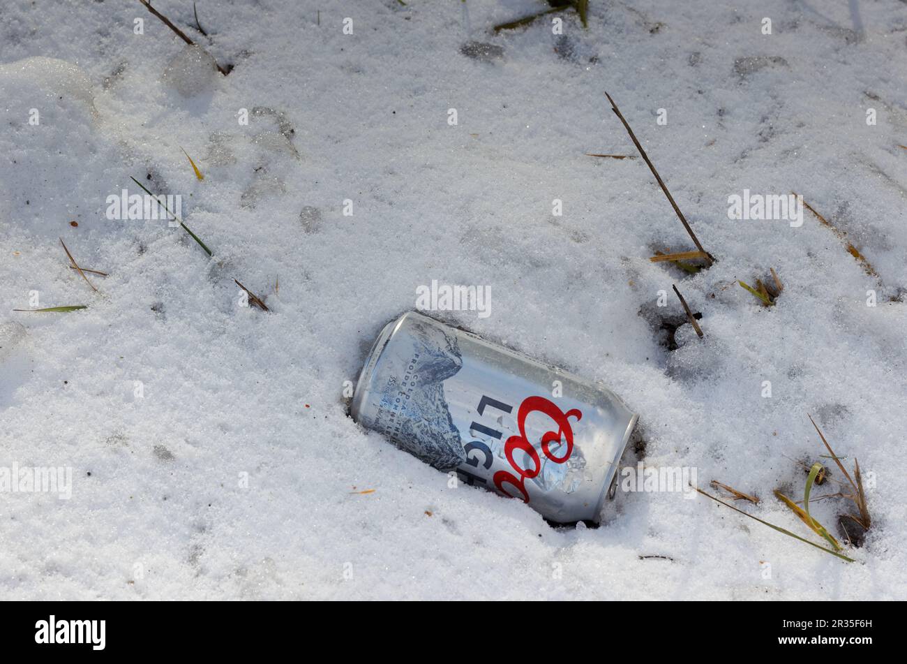 Empty can of Coors light beer laying on the  ground. Quebec,Canada Stock Photo
