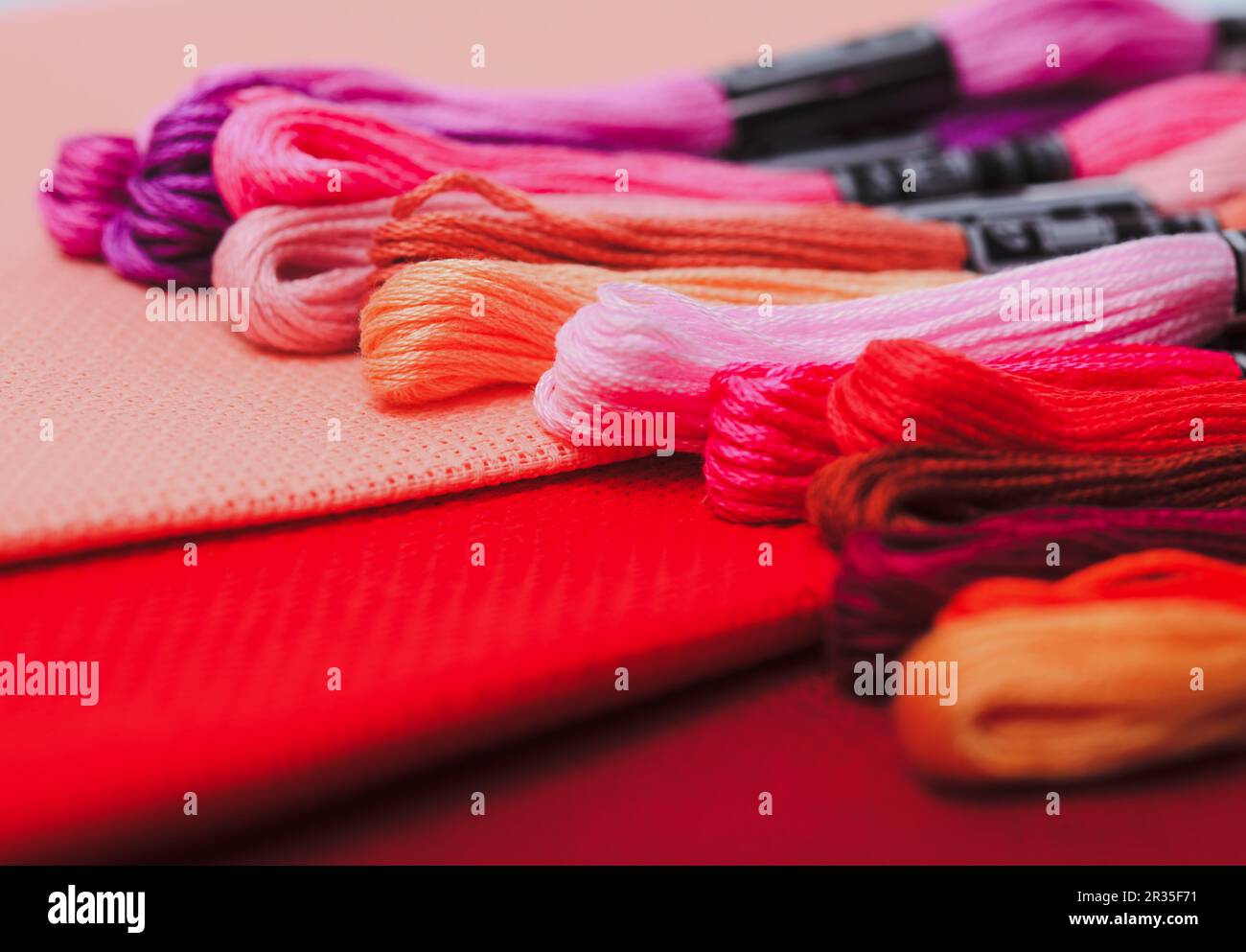 The embroidery canvas Stock Photo Alamy