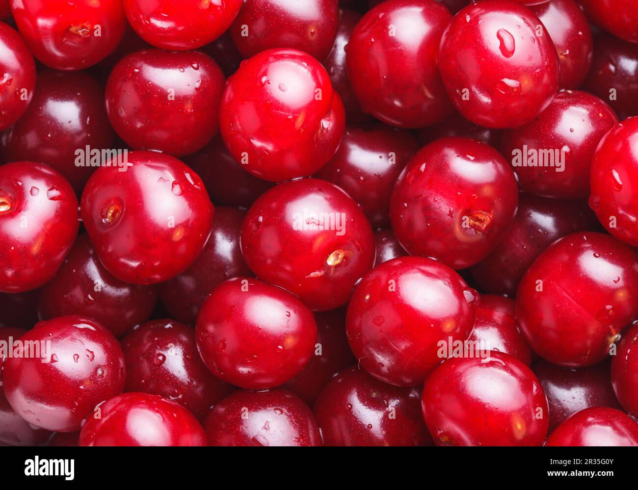 Maroon ripe cherries hi-res stock photography and images - Alamy