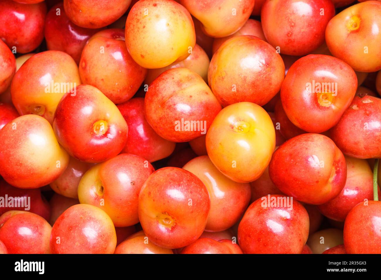 Yellow cherries background Stock Photo - Alamy
