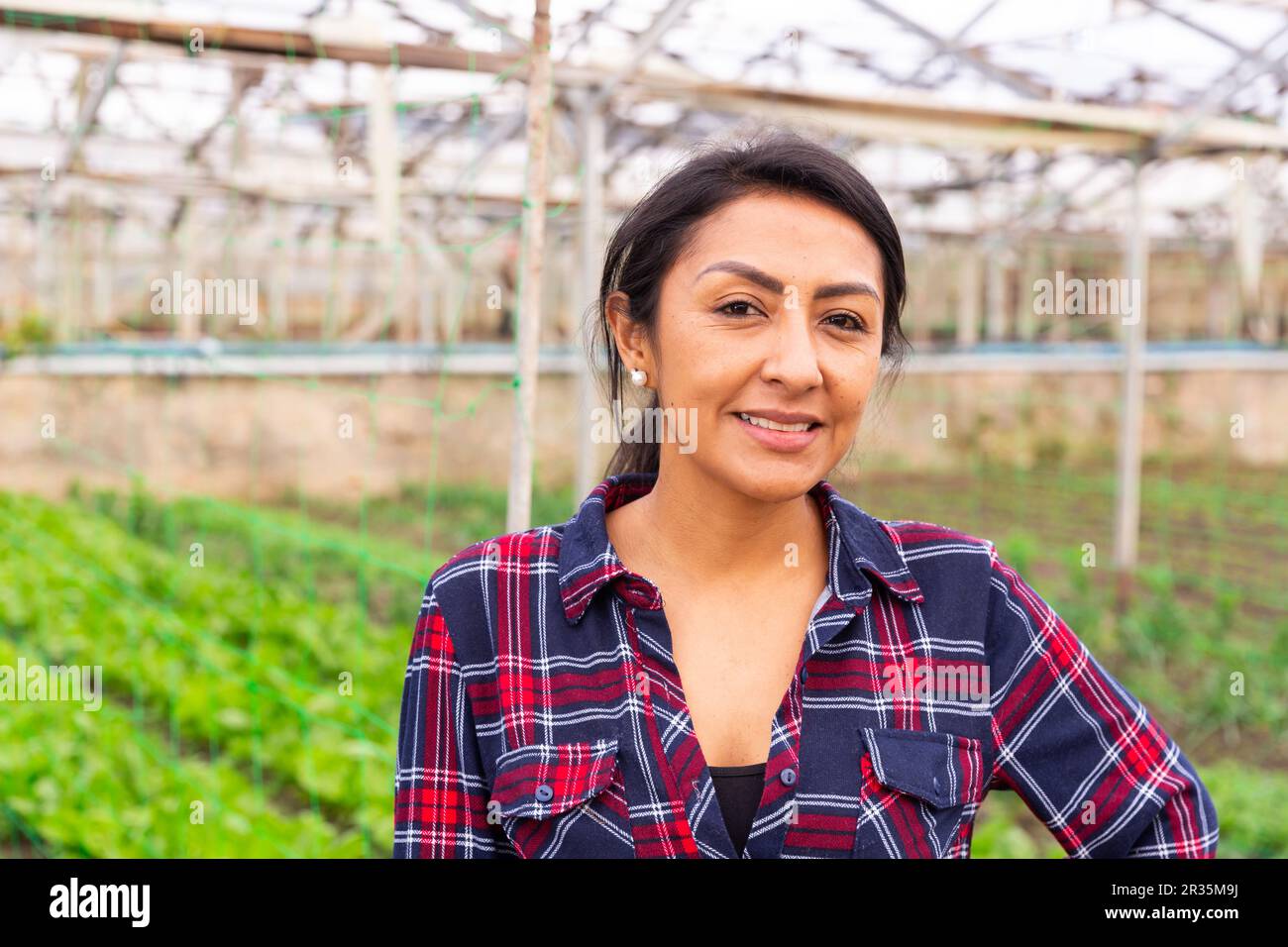 Portrait of a smiling latin american woman farmer in a greenhouse Stock ...