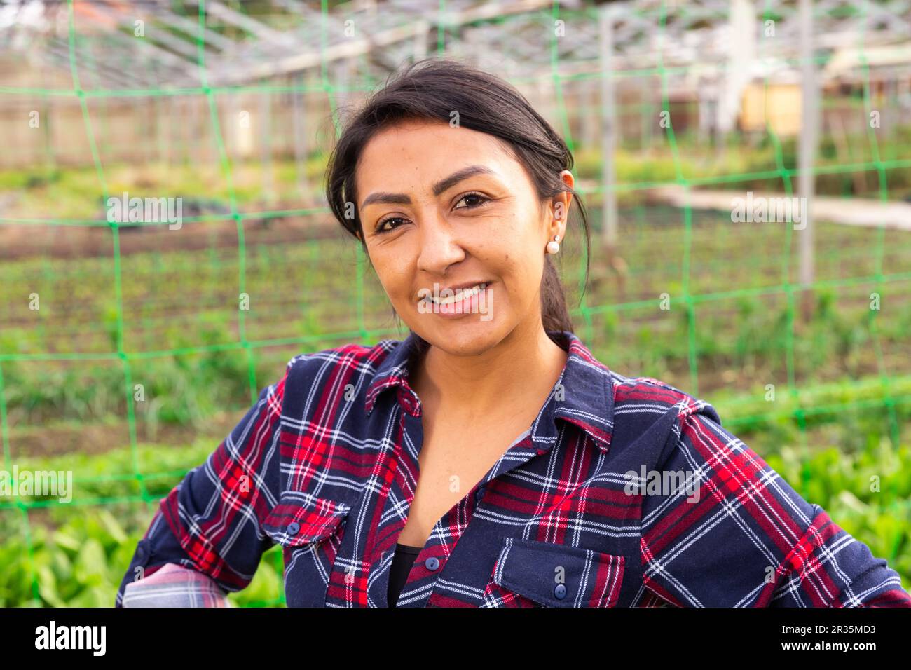 Portrait of a smiling latin american woman farmer in a greenhouse Stock ...