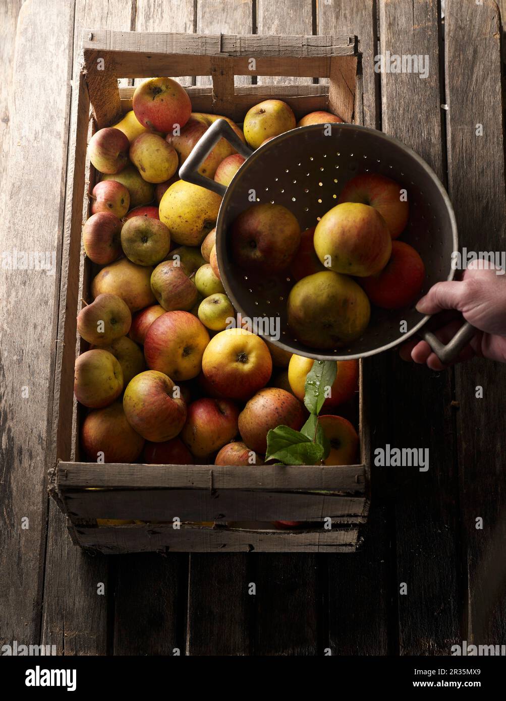 Various types of apples in a wooden crate and in a colander Stock Photo ...