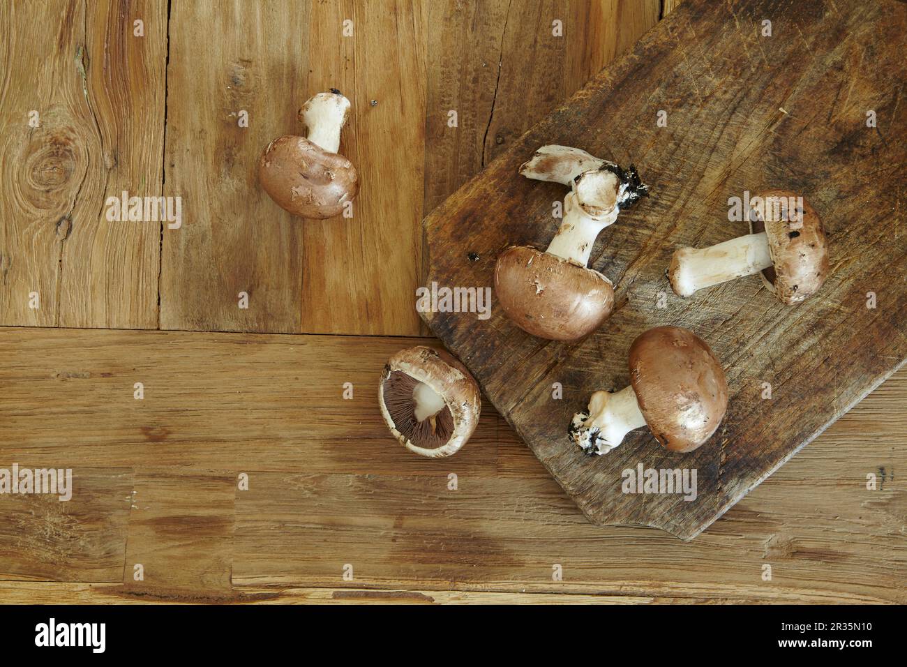 Chestnut mushrooms Stock Photo