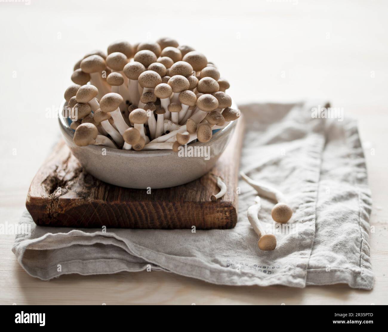 Fresh shimeji mushrooms in a ceramic bowl on a chopping board Stock Photo