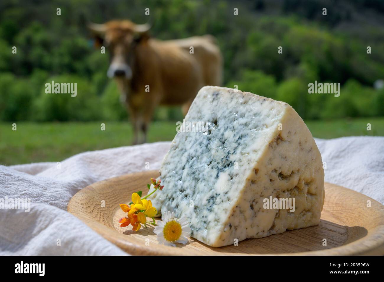 Cabrales, artisan blue cheese made by rural dairy farmers in Asturias, Spain from unpasteurized