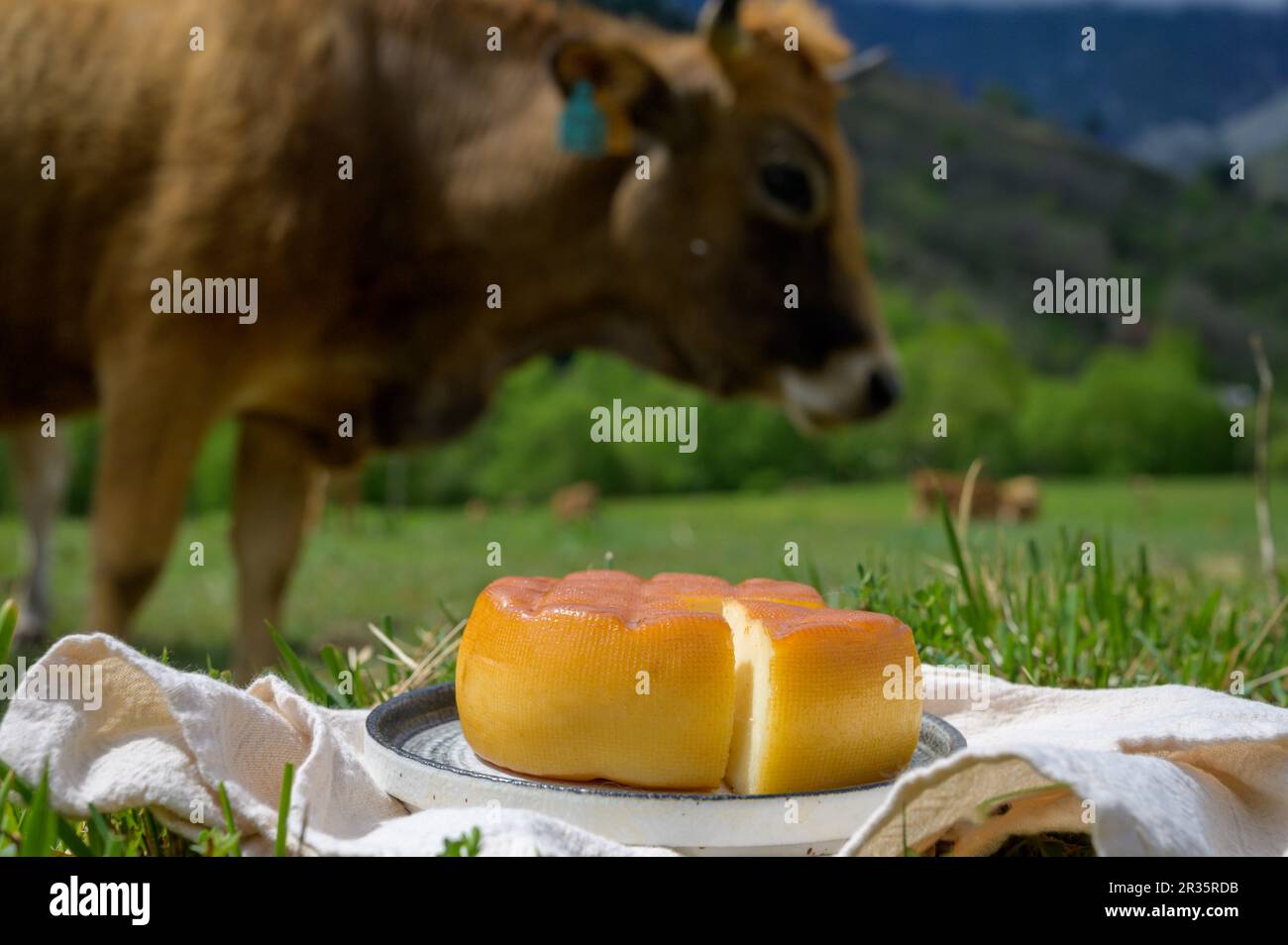 Spanish smoked hard cheese from Pria, made by rural dairy farmers in