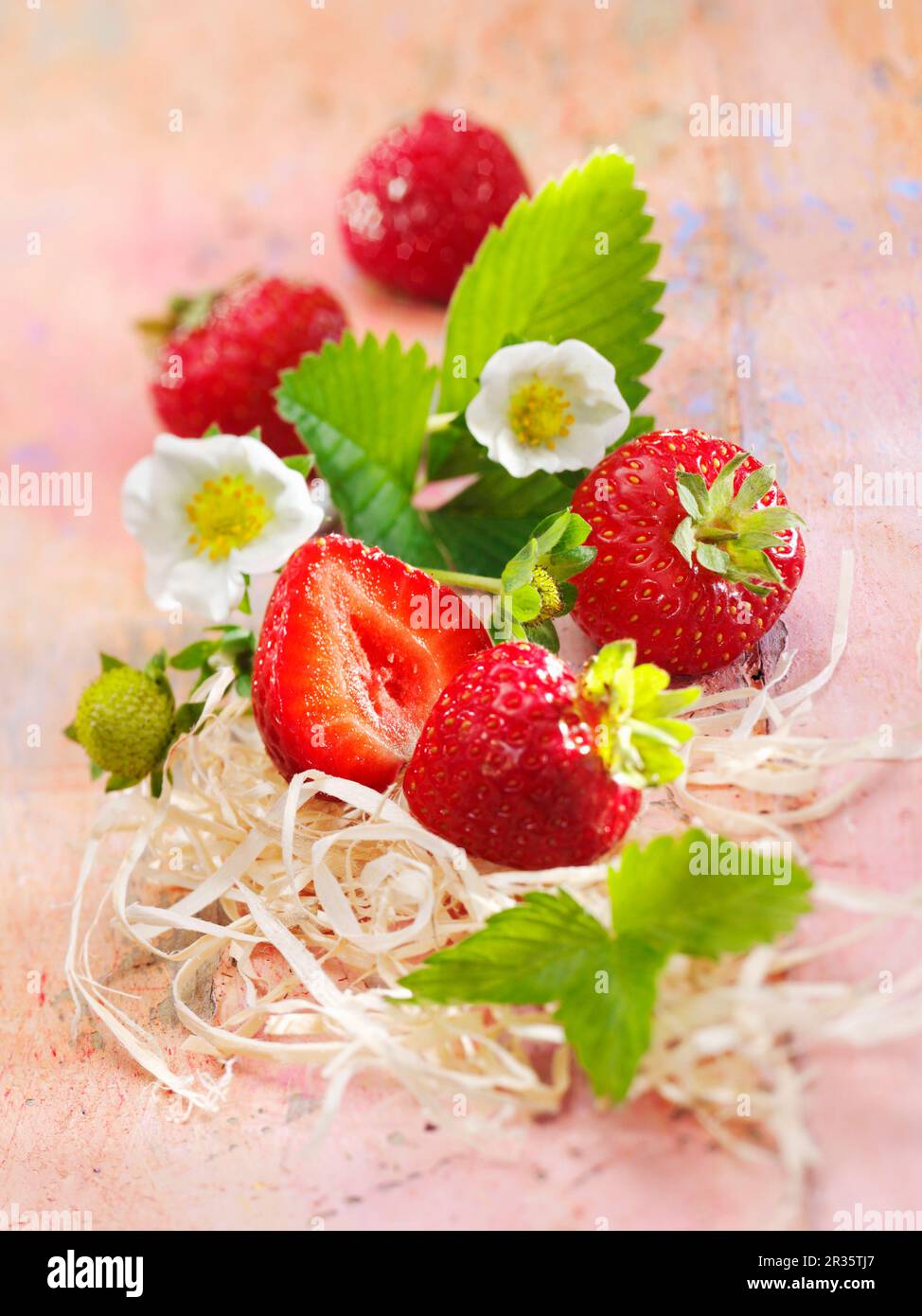 Strawberries with flowers Stock Photo