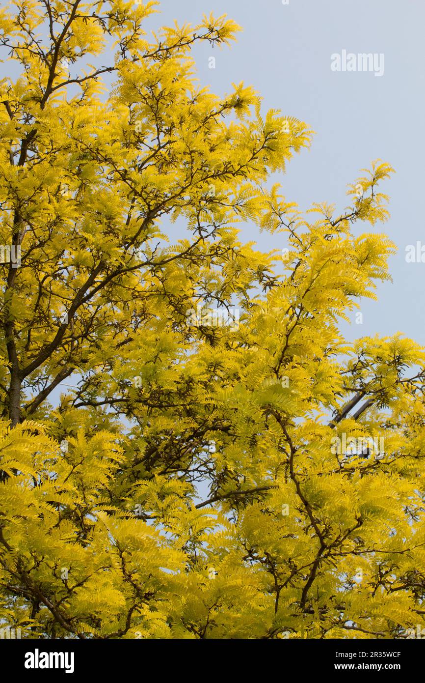 Springtime in Ohio Stock Photo - Alamy