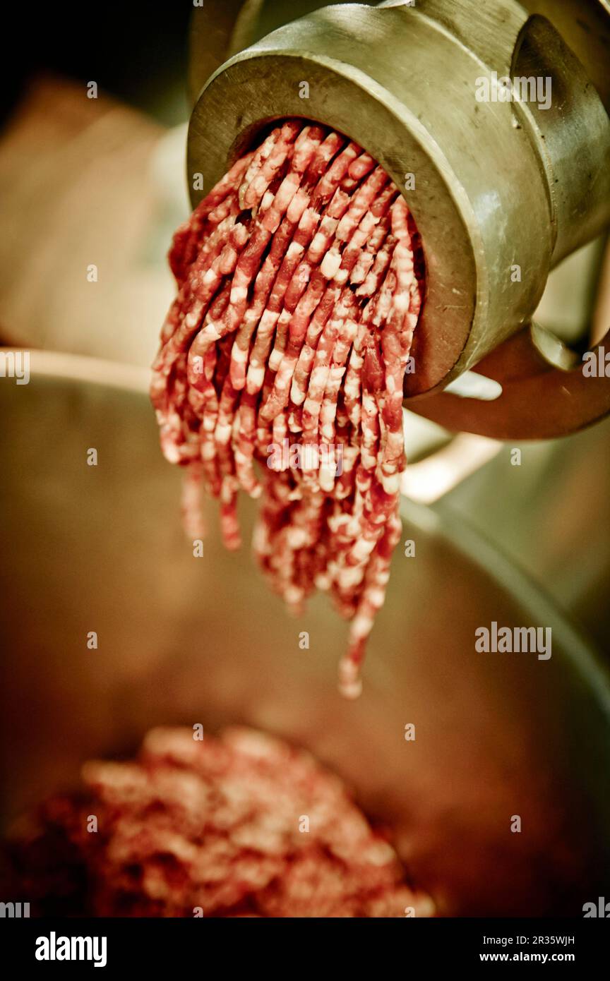 Freshly ground meat coming out of a meat grinder - Stock Image - F017/6580  - Science Photo Library