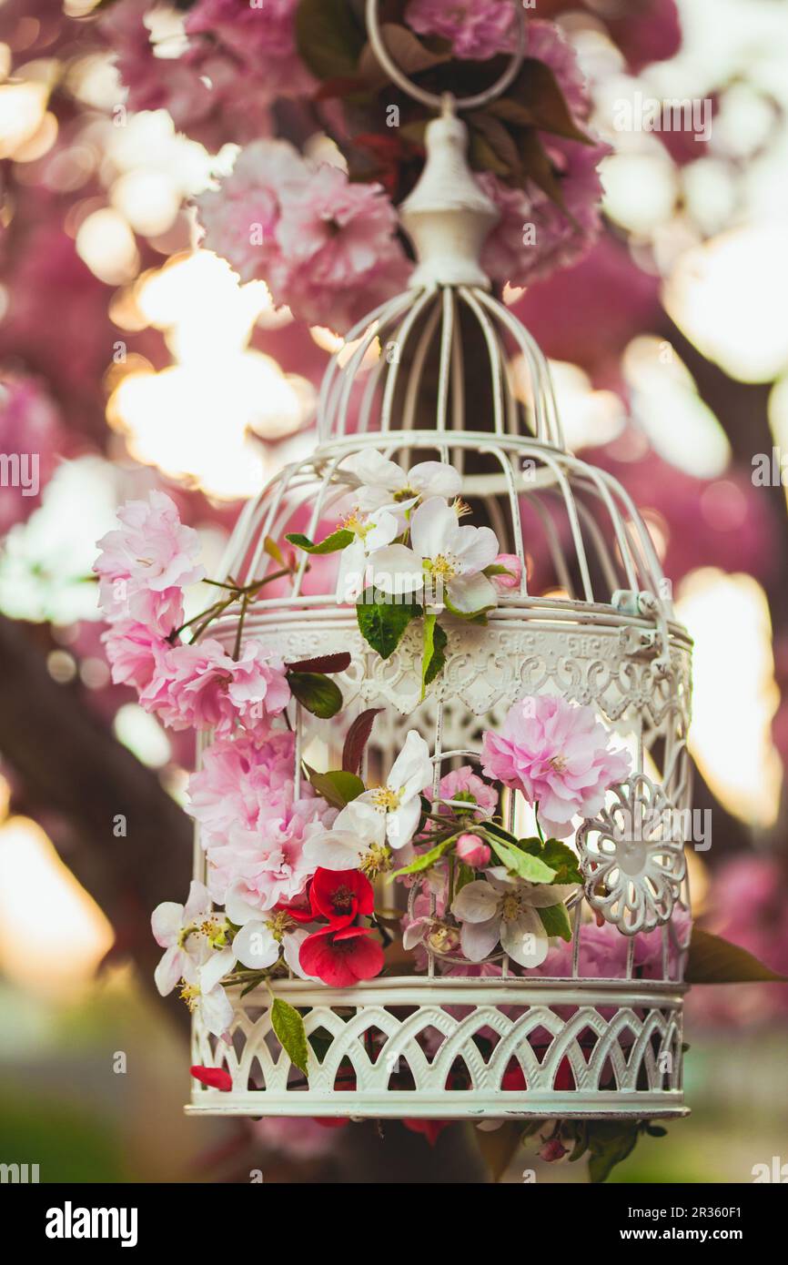 Bird cage in garden Stock Photo Alamy