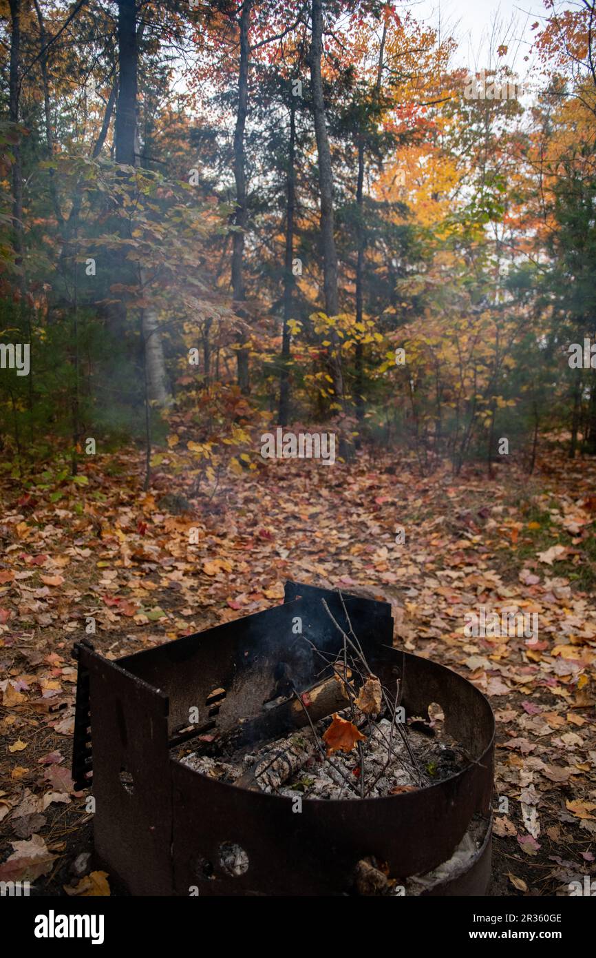 Burnt fire wood in a fire pit on a campground during colourful Fall