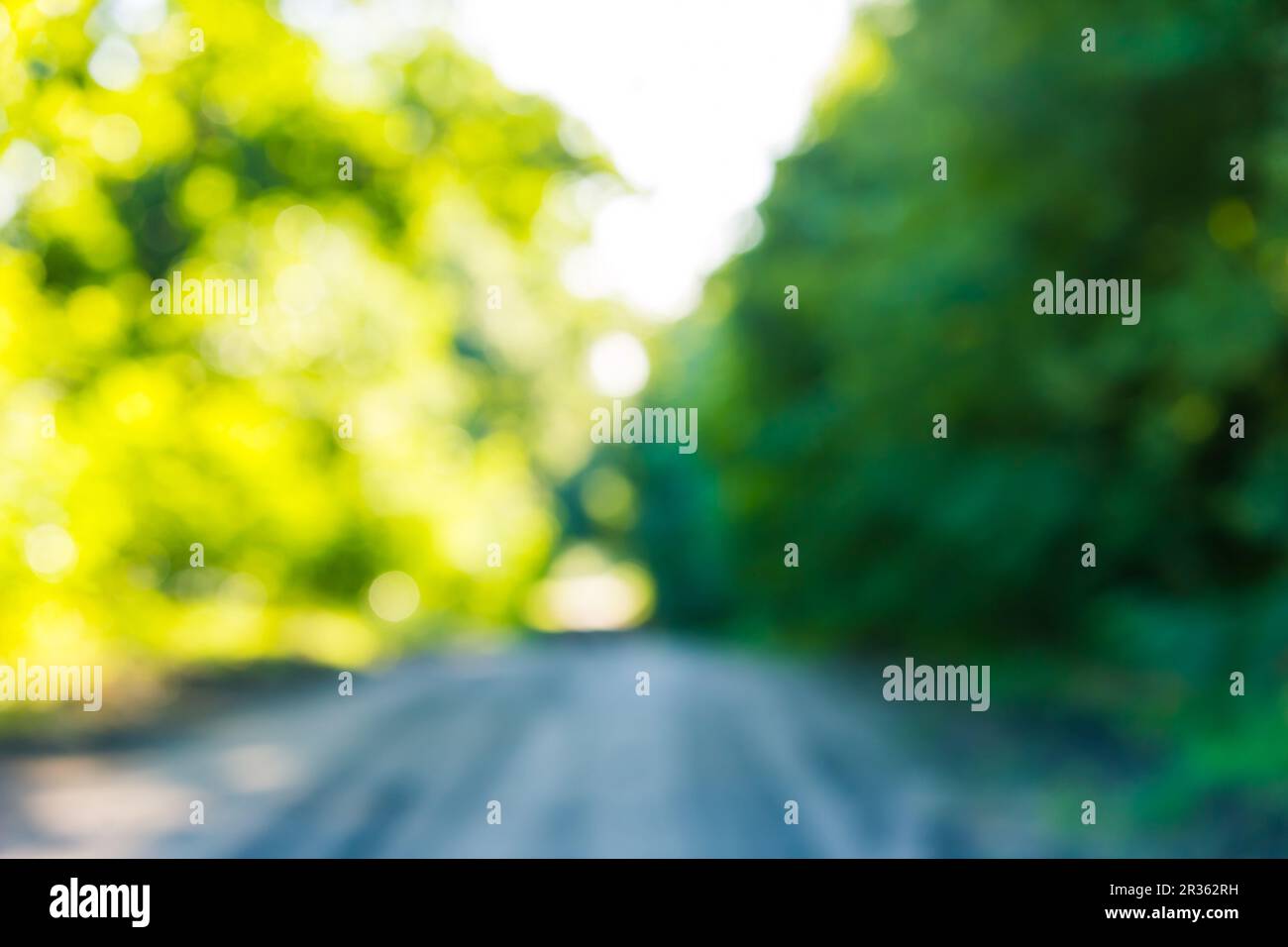 Bokeh background natural hi-res stock photography and images - Alamy