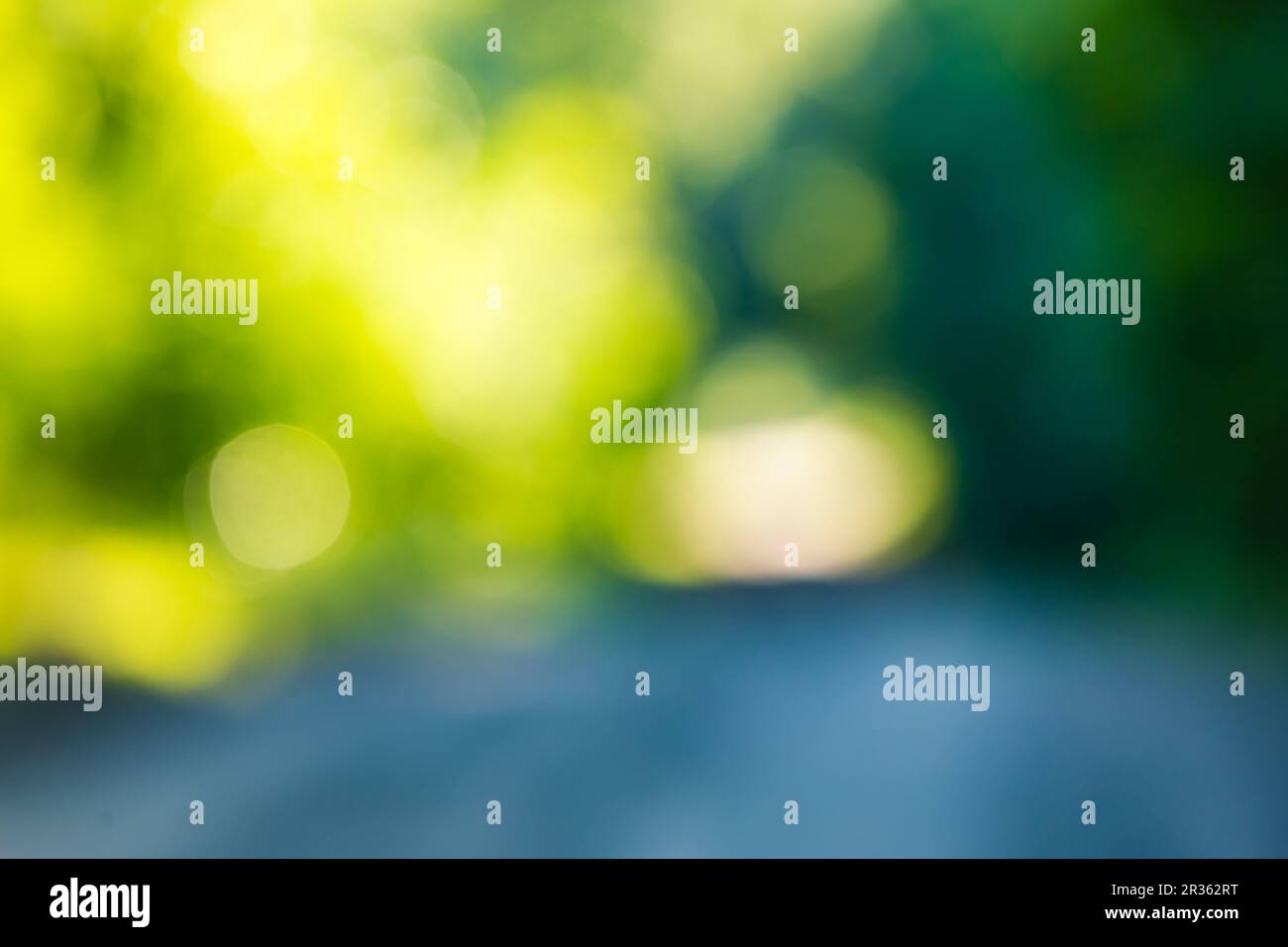 Bokeh forest hi-res stock photography and images - Alamy