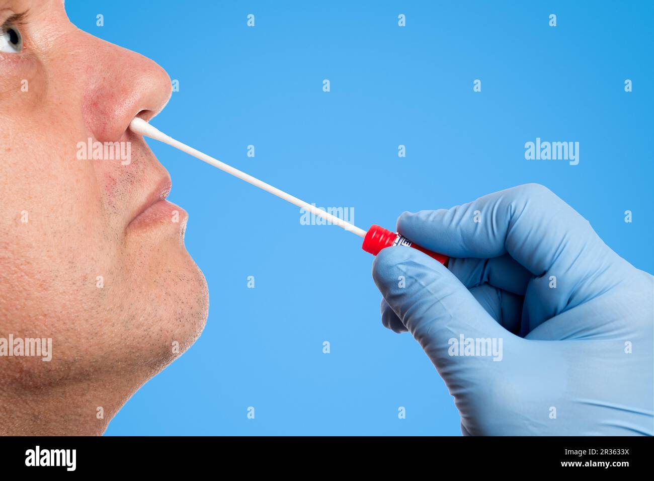 Doctor makes a nasal swab test Stock Photo - Alamy