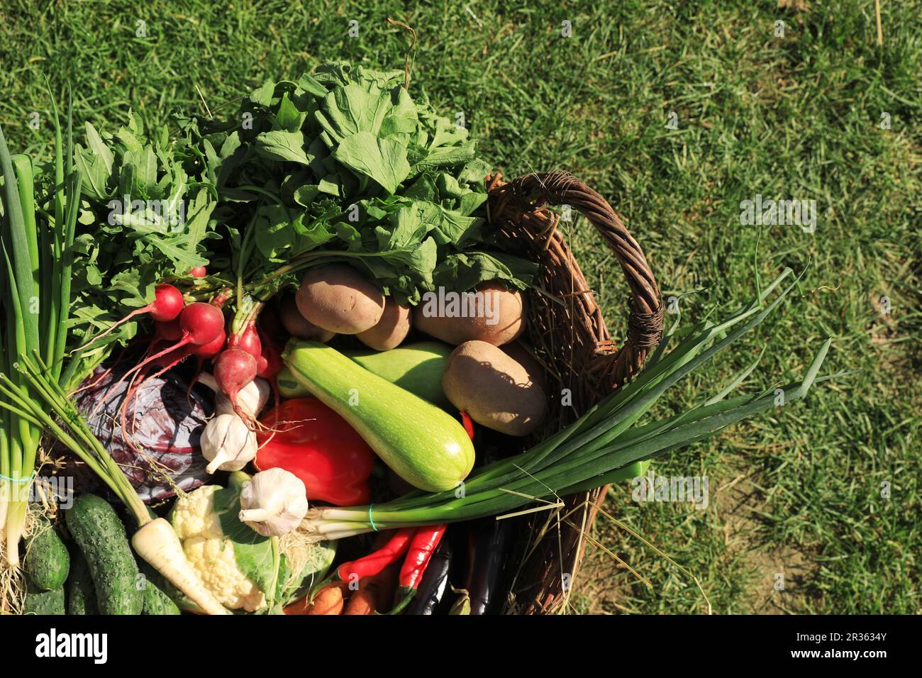 Different fresh ripe vegetables in wicker basket on grass, top view ...