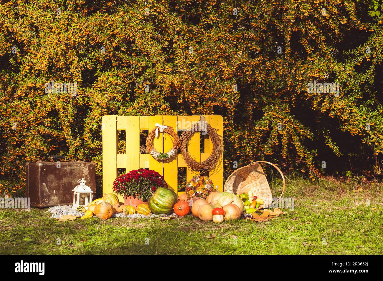 Thanksgiving autumn decorations Stock Photo