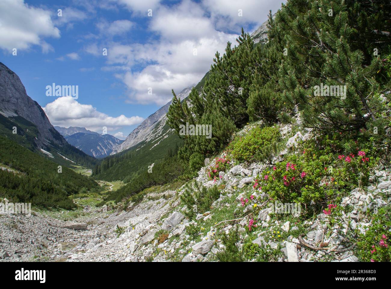 Hitchhiking in the Gleirsch Valley, Karwendel Mountains, Tyrol, Austria Stock Photo