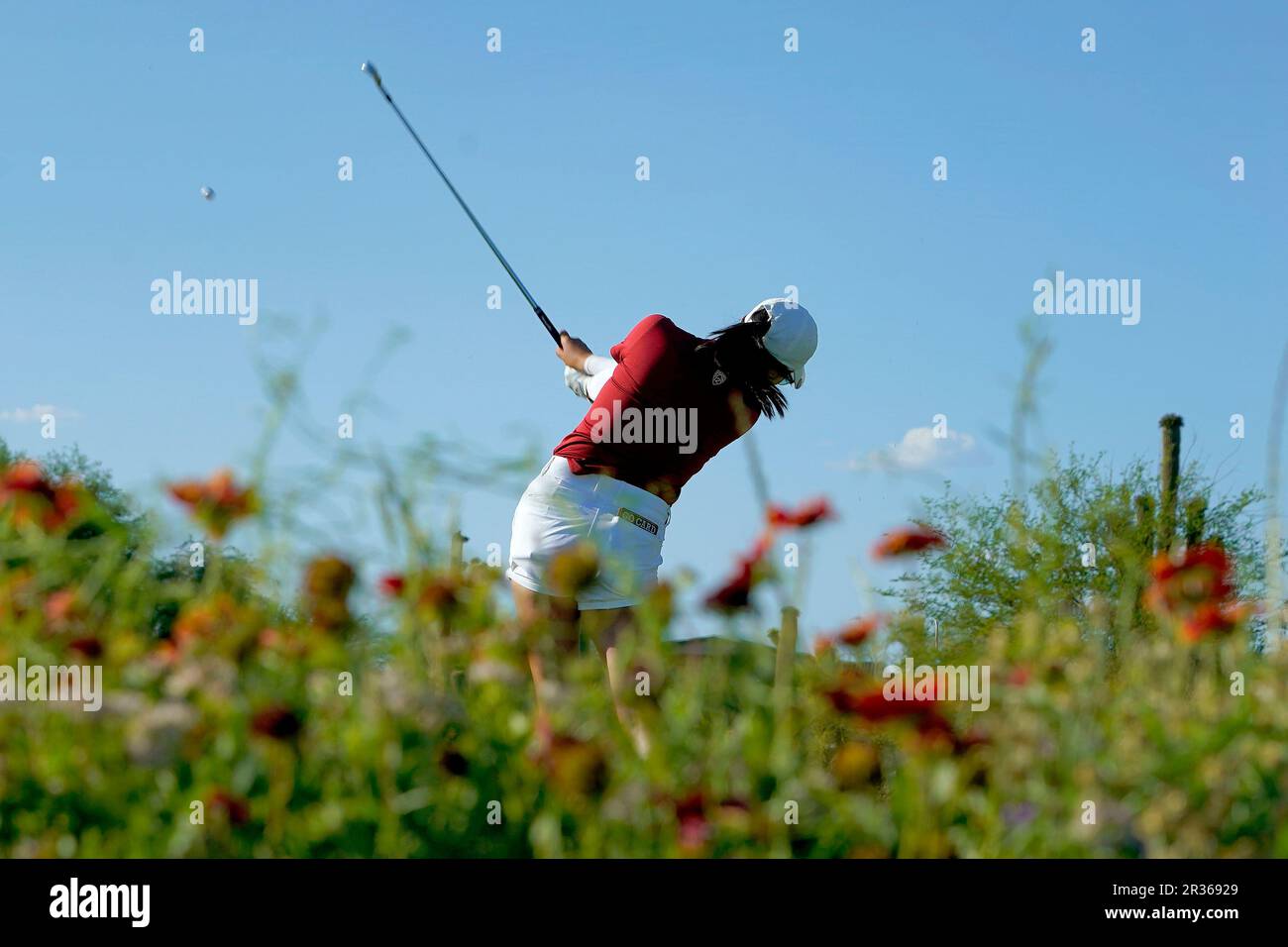 Stanford golfer Rose Zhang hits from the 17th tee during the final